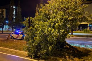 Umgefahrener Baum bei Verkehrsunfall auf Kirchberg