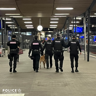 2 Festnahmen bei großangelegter Kontrolle am hauptstädtischen Bahnhof