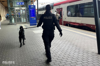 Mehrere Verstöße bei Kontrolle in den öffentlichen Verkehrsmitteln in Luxemburg-Stadt