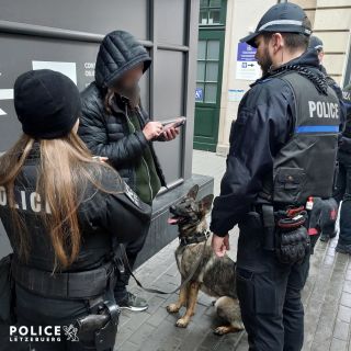 Drogen- und Immigrationskontrolle im Bereich des hauptstädtischen Bahnhofs 