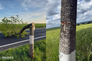 Zeugenaufruf nach mutwilliger Beschädigung von Straßenbäumen