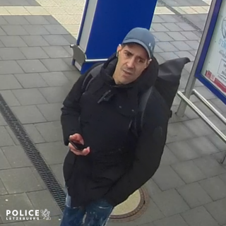 Zeugenaufruf nach Diebstahl in einem Zug am hauptstädtischen Bahnhof